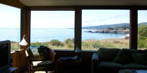 view from livingroom