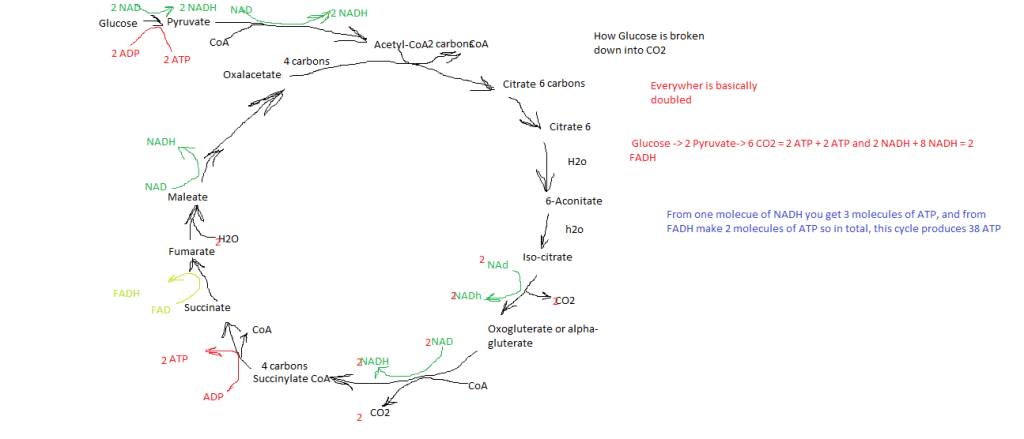 The Luddites are&nbsp;Winning