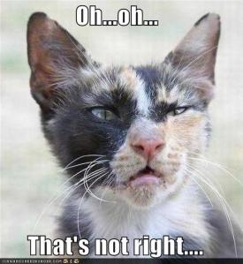 That's not right, and let me explain to you in detailed form why.