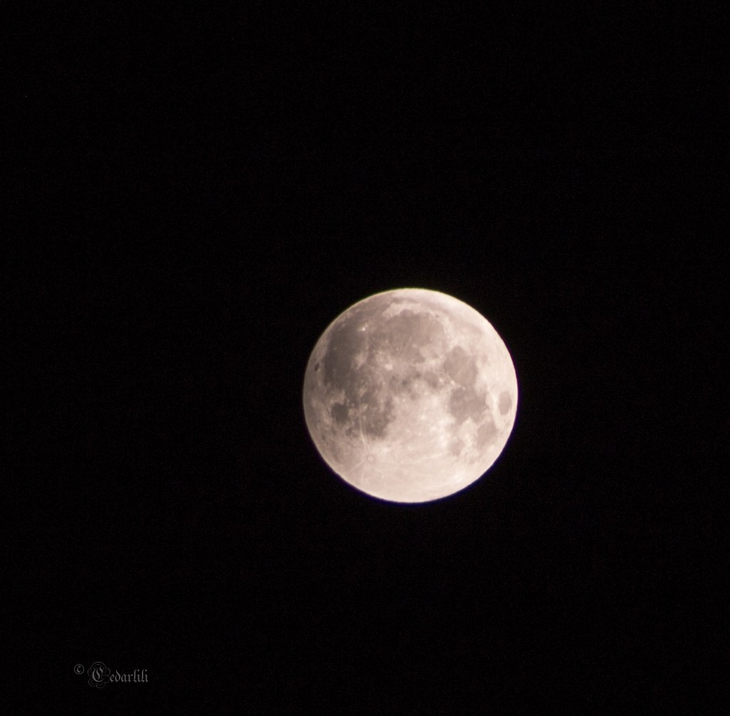 Moon 