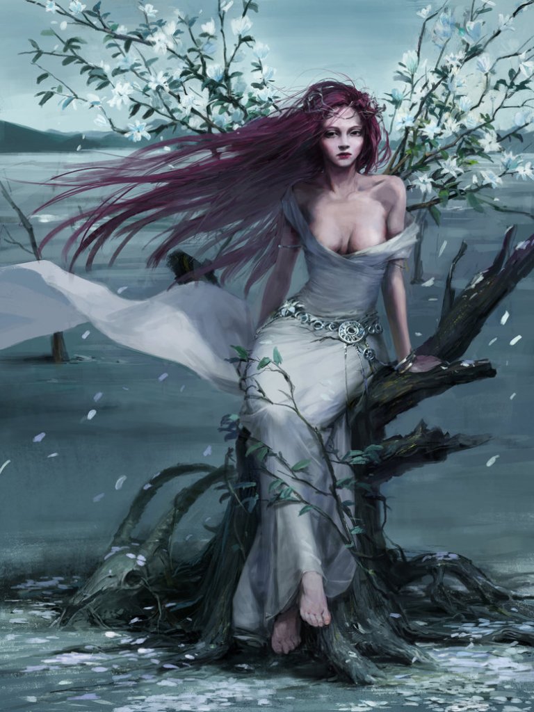 Wilderness by totorrl
