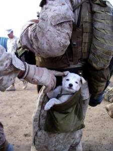Soldier and puppy 
