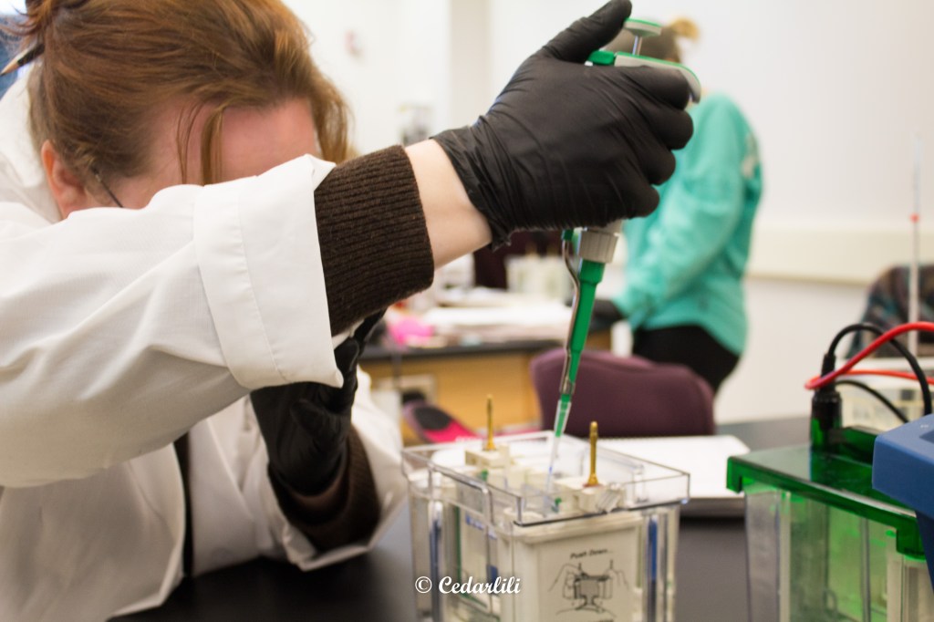 Forensics for Writers: The Gold&nbsp;Standard