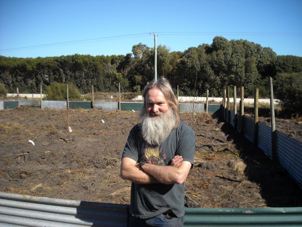 orchard planting 010