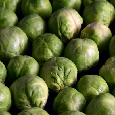 The little cabbages..