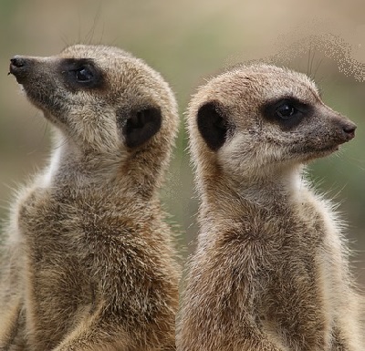 Conversions and Culture&nbsp;Clashes