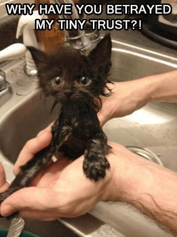 Enter: Stage Right, Left, and Possibly from&nbsp;Above