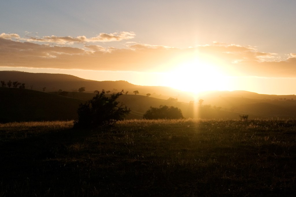 Of Flies and&nbsp;Honey