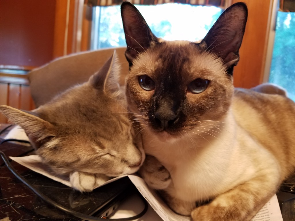 Another Hole in the&nbsp;Heart