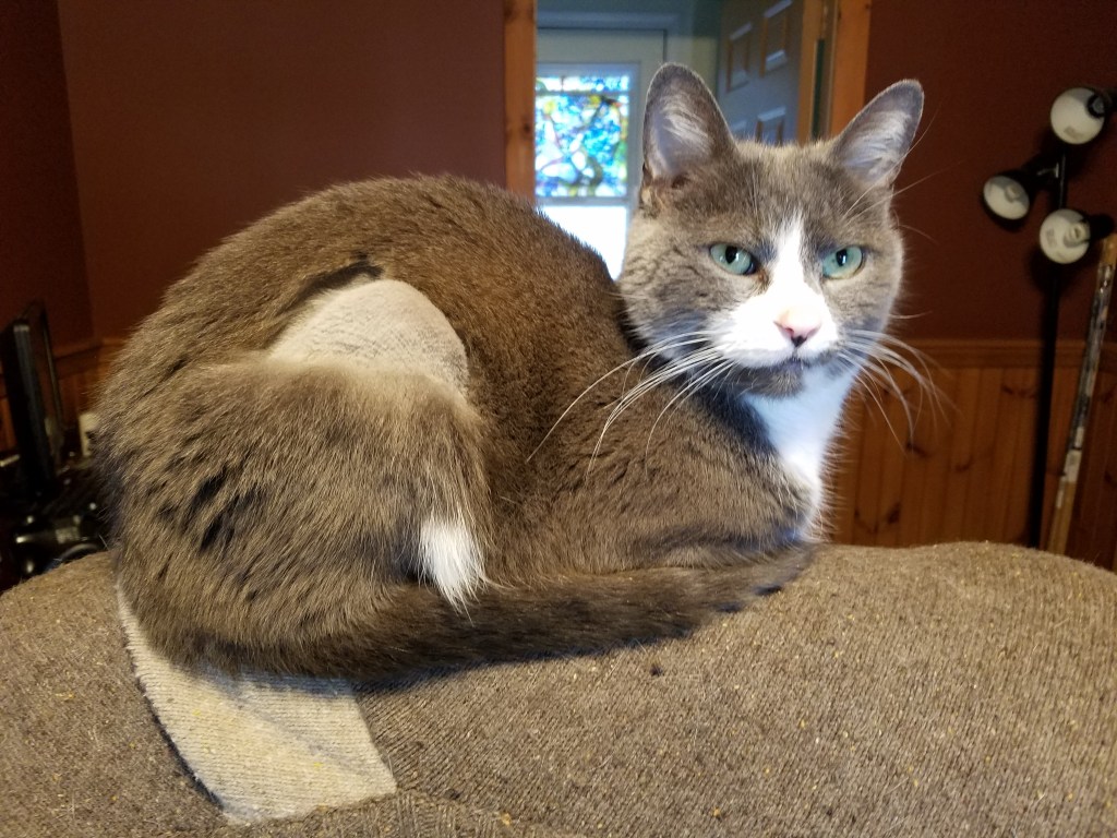 Blast From The Past: The Problem of Being Too&nbsp;Good