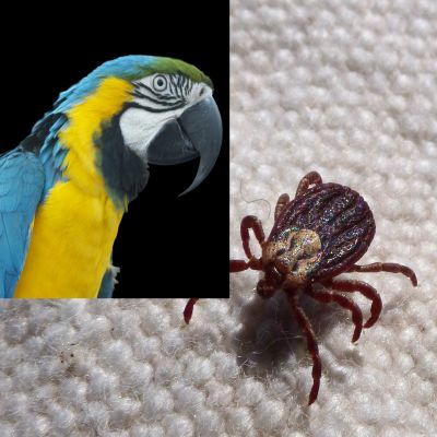 Systems of Government and the future in&nbsp;sf.