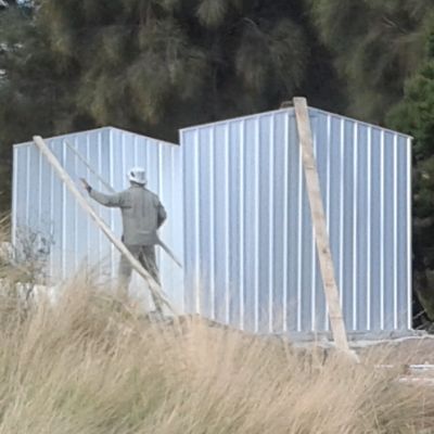 Nice little fixer-upper