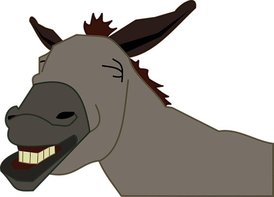 Don’t Be A&nbsp;Jackass