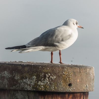 Why am I doing&nbsp;this?