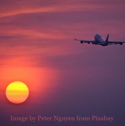 The Disorganized Muse