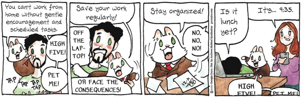 Breaking Cat News 2020-04-21