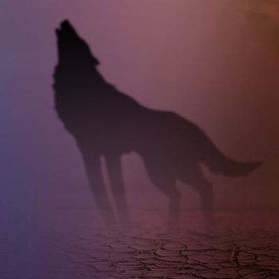 Don’t take the&nbsp;bait