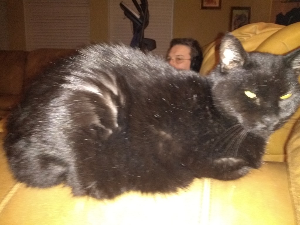 On Being The Chosen&nbsp;One