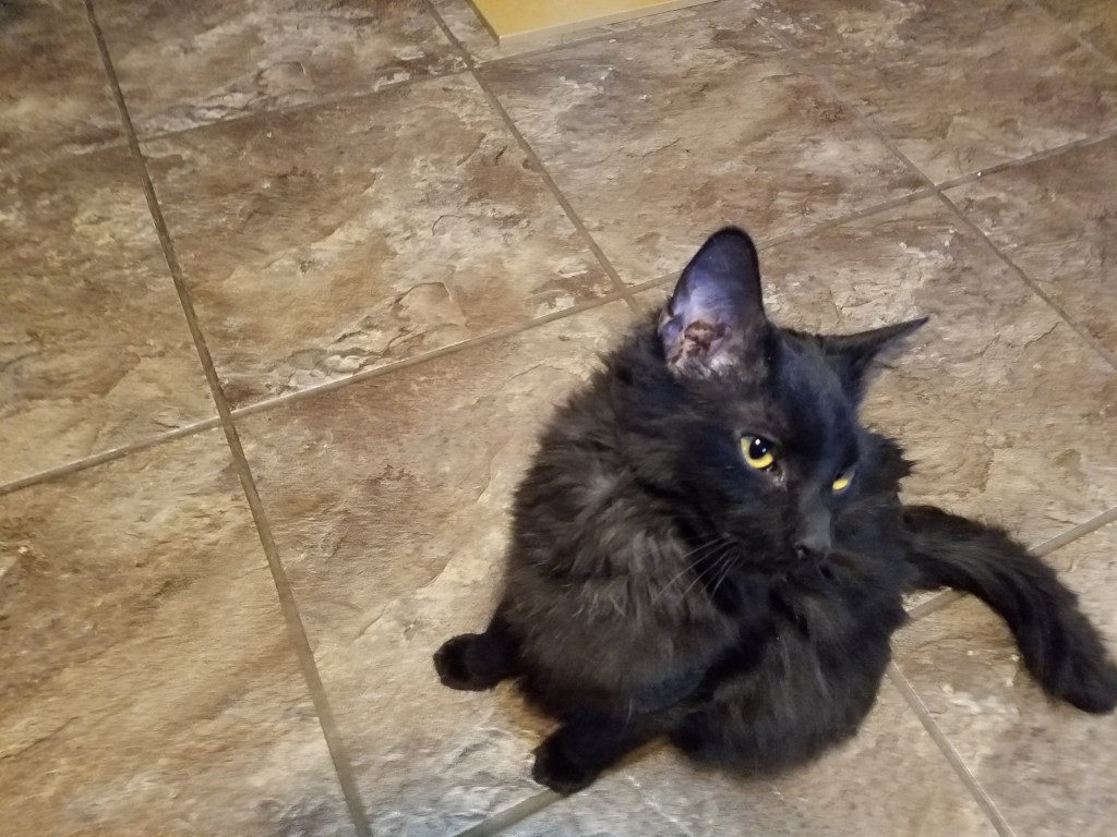 Why I can’t have nice&nbsp;Things