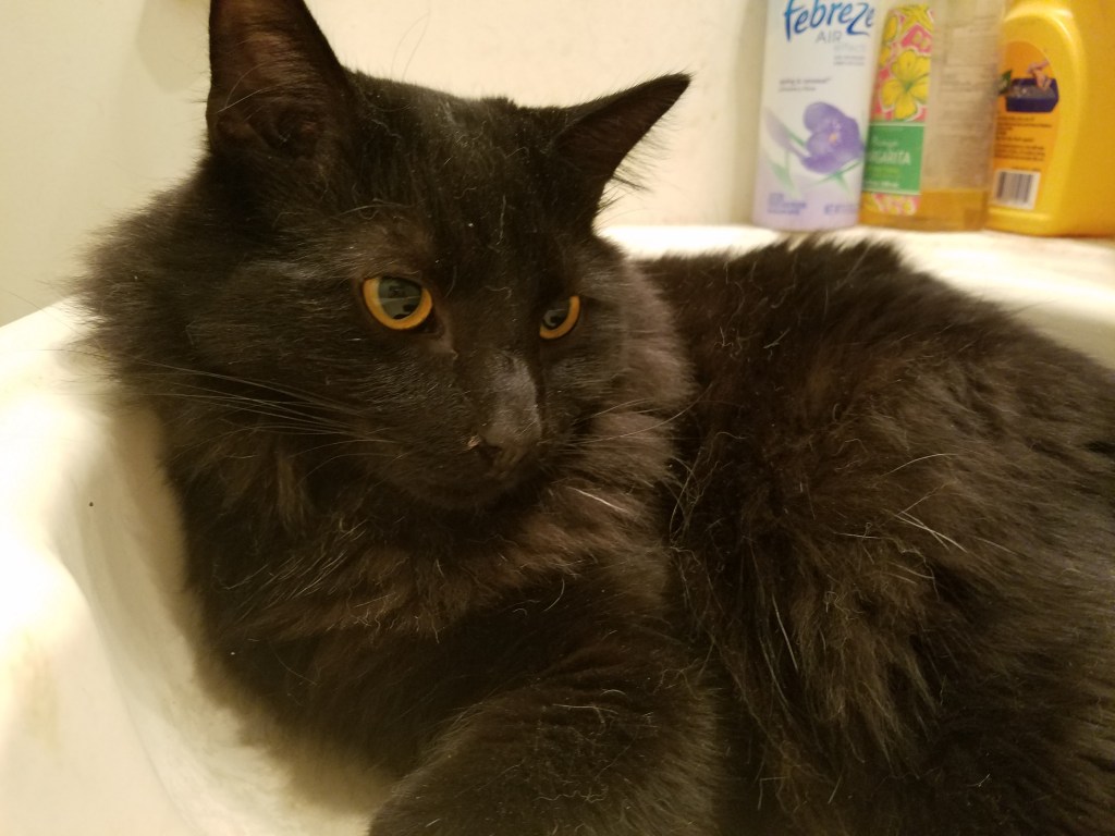 Definitions of normal