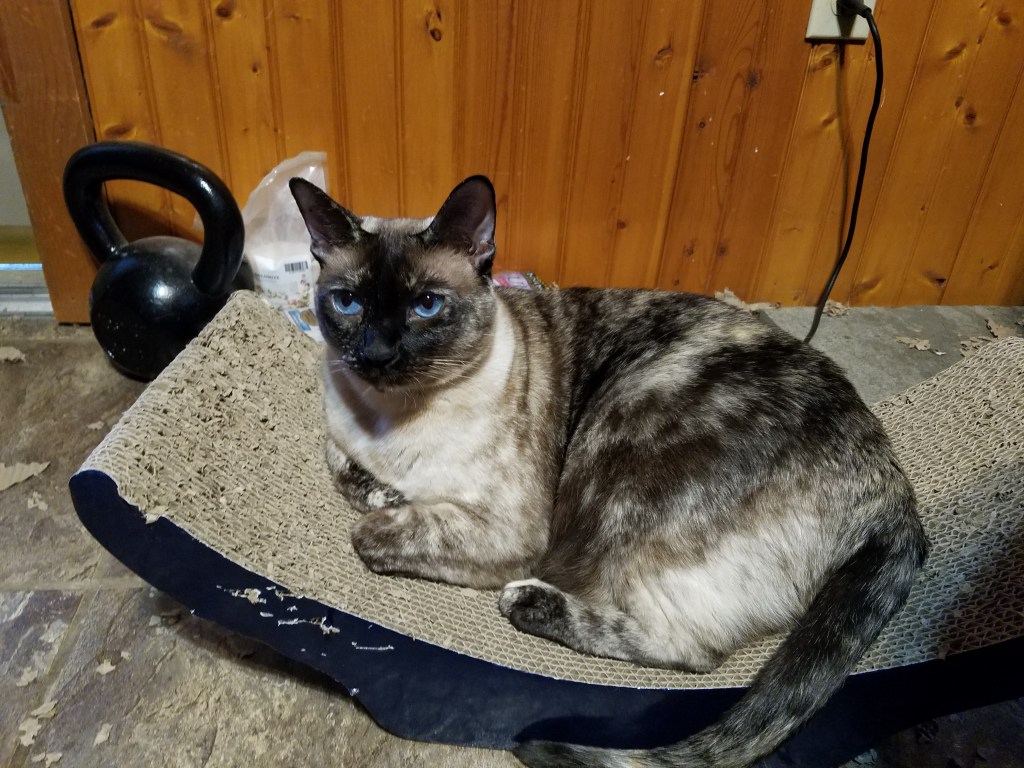 The Anatomy of&nbsp;Hope