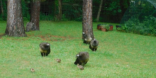 The Real World and&nbsp;Fiction