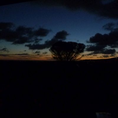 I’m not a&nbsp;mole…