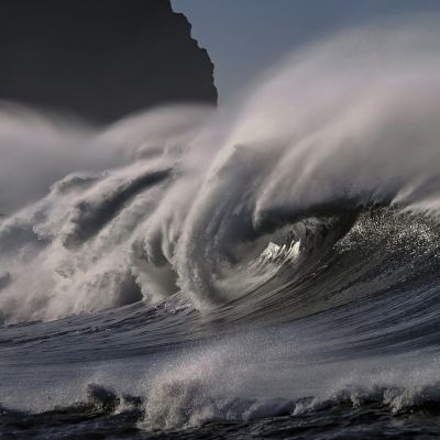 The best plaid&nbsp;lice