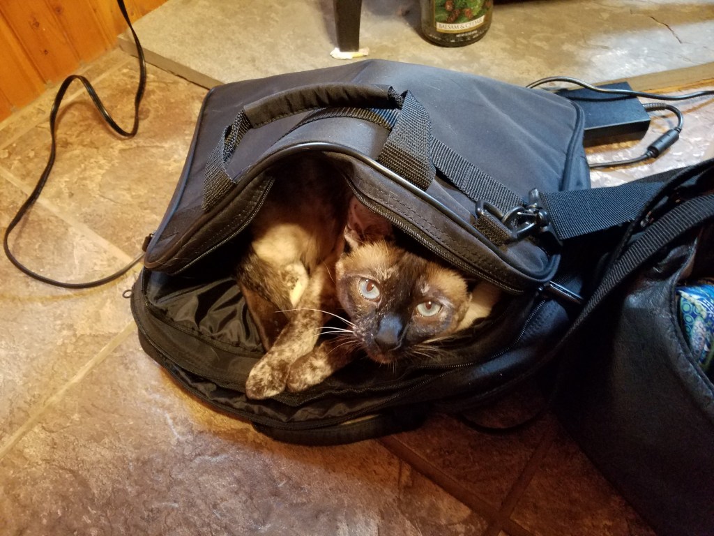 And There Was Much&nbsp;Rejoicing