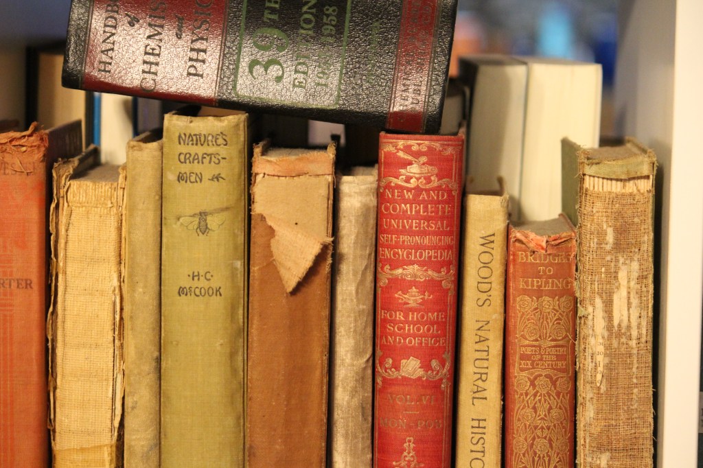 Waves for the&nbsp;Future