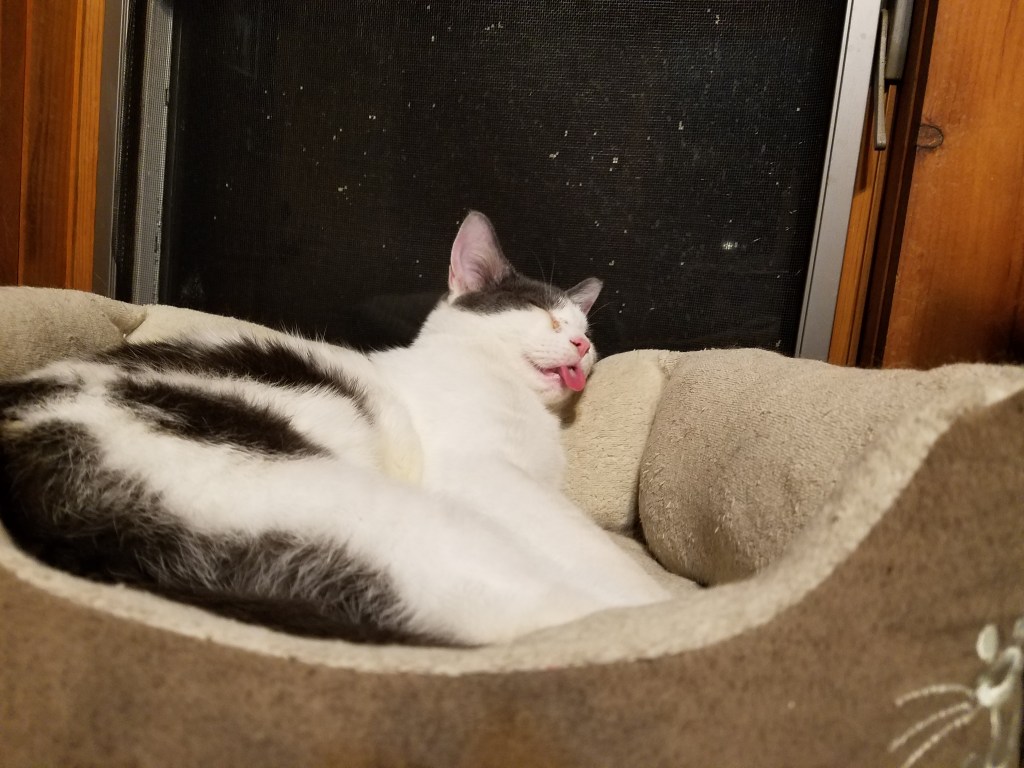 Nothing is ever what you thought it would&nbsp;be