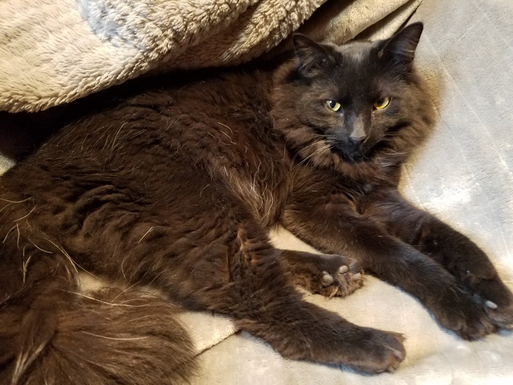 The Week That&nbsp;Wasn’t