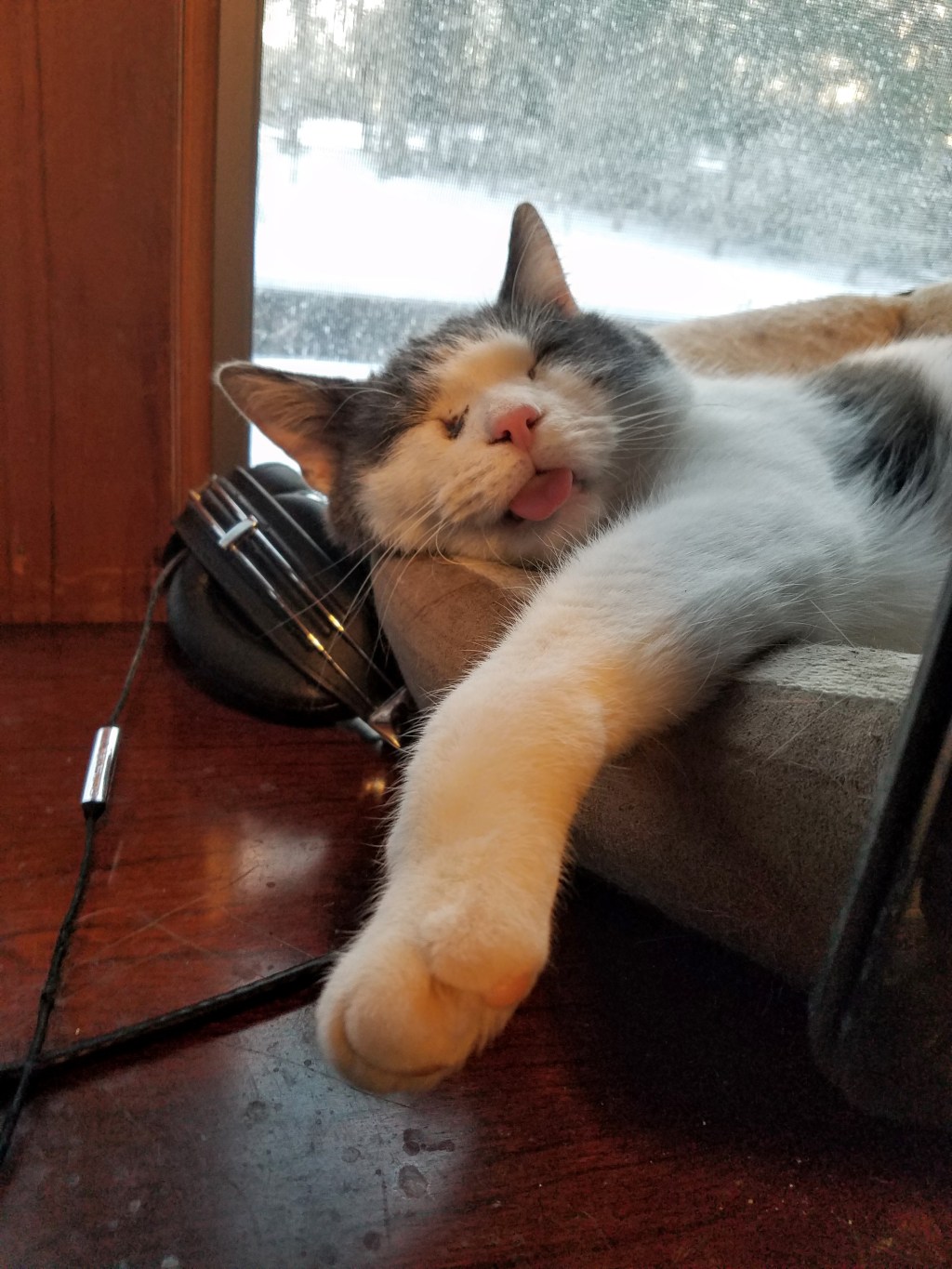 Trudging to something