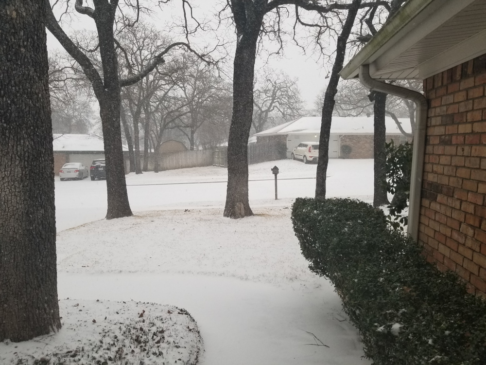 Frozen Brain Makes Blogging&nbsp;Hard