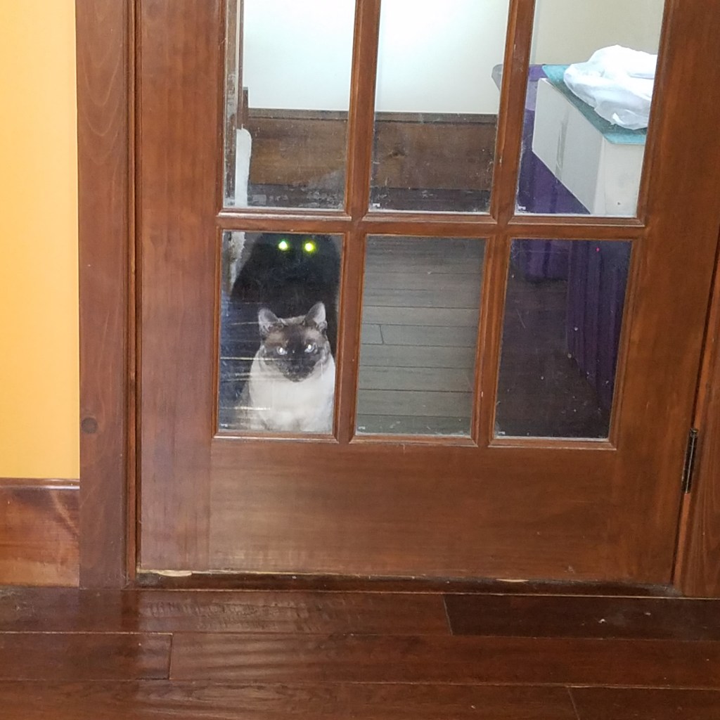 The Year That&nbsp;Wasn’t