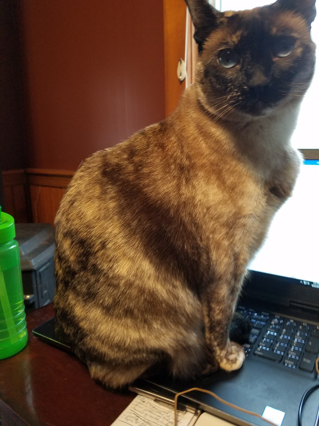 Progress of a&nbsp;sort