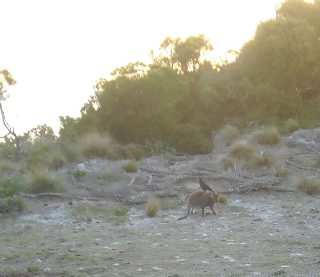 I knew instinctively…