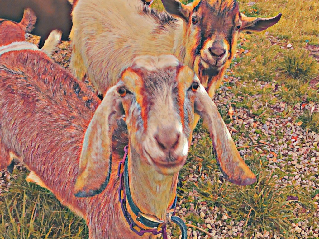 The Short and Long of&nbsp;It