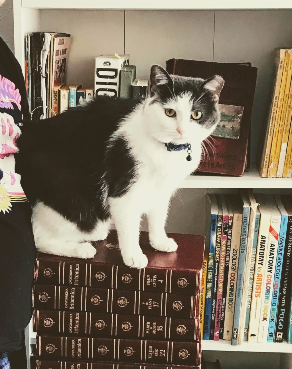 The Madness of&nbsp;Bibliophilia