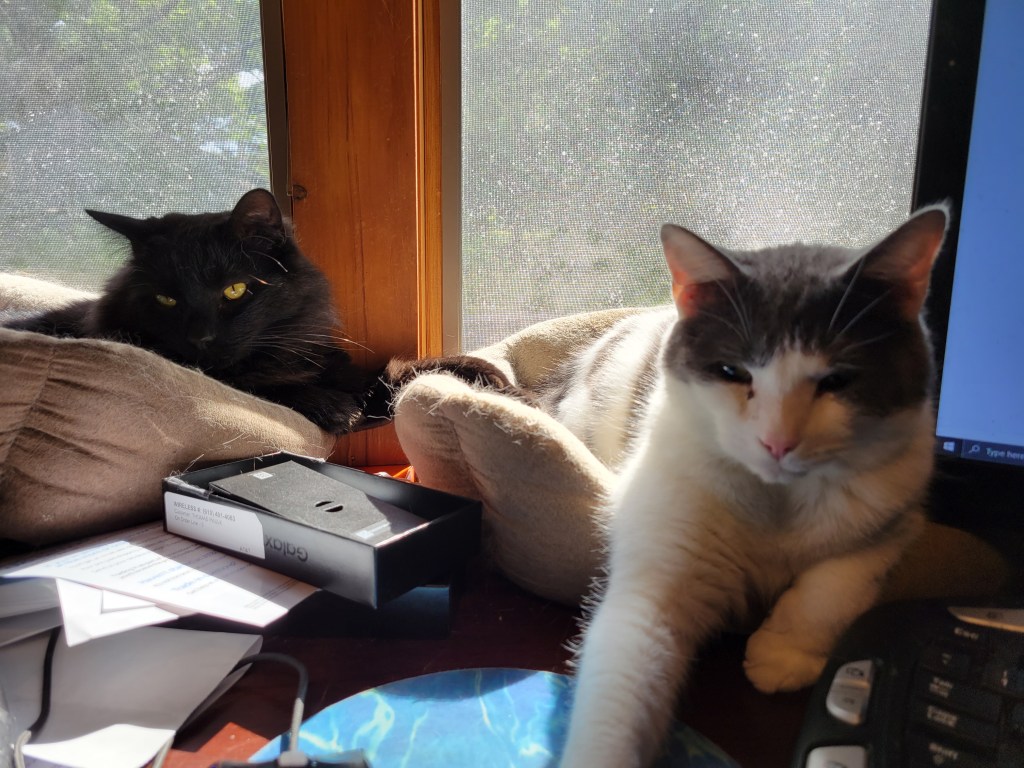 As You Don’T Know,&nbsp;Bob