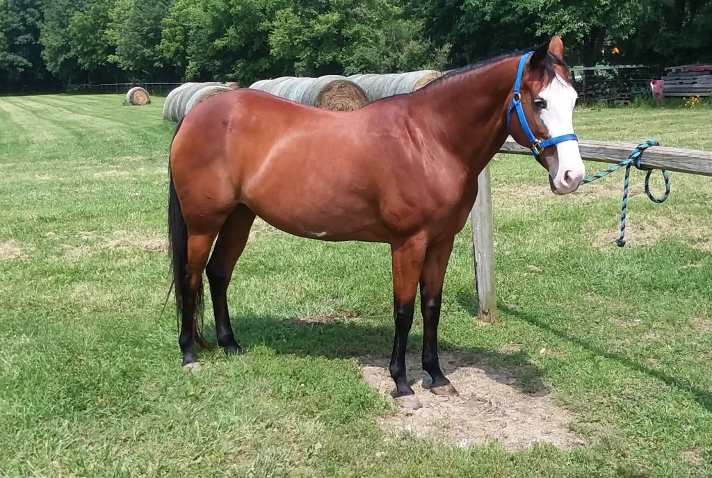 (Very Late) Halloween&nbsp;Pictures