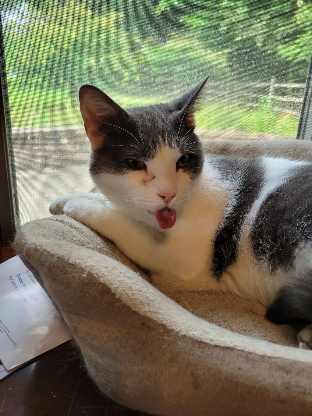 Blast From The Past: Did You Want Some Fiction With Your&nbsp;Message?