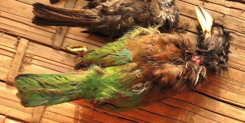 Never mind his&nbsp;eyes