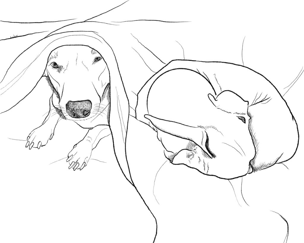 Take a Down&nbsp;Day