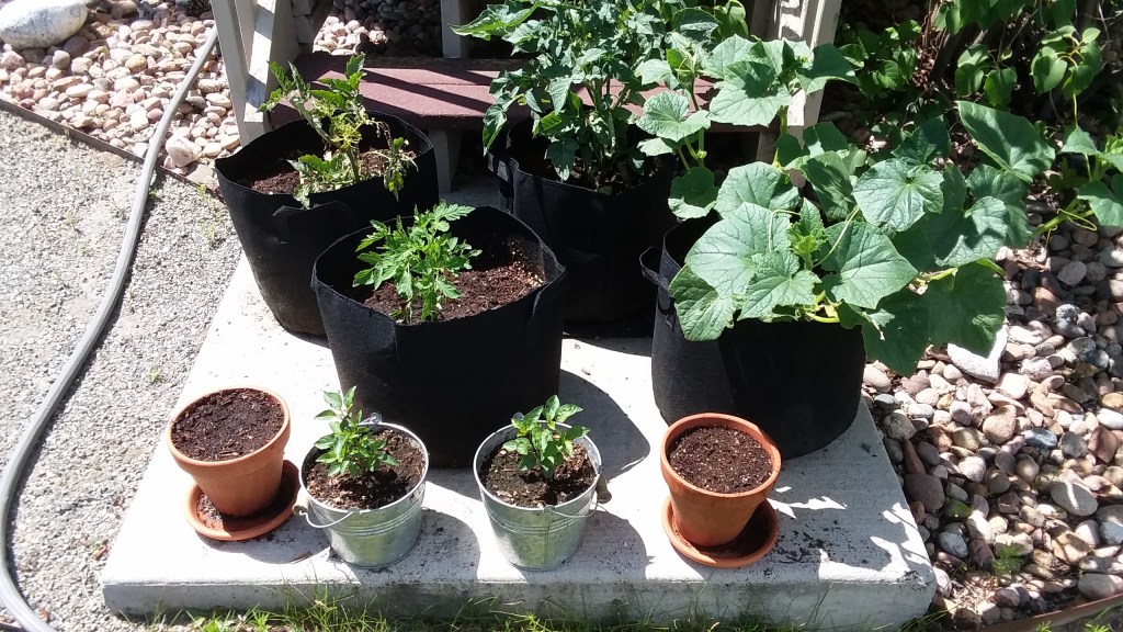 Planning a Garden, Not Planting.&nbsp;Yet.