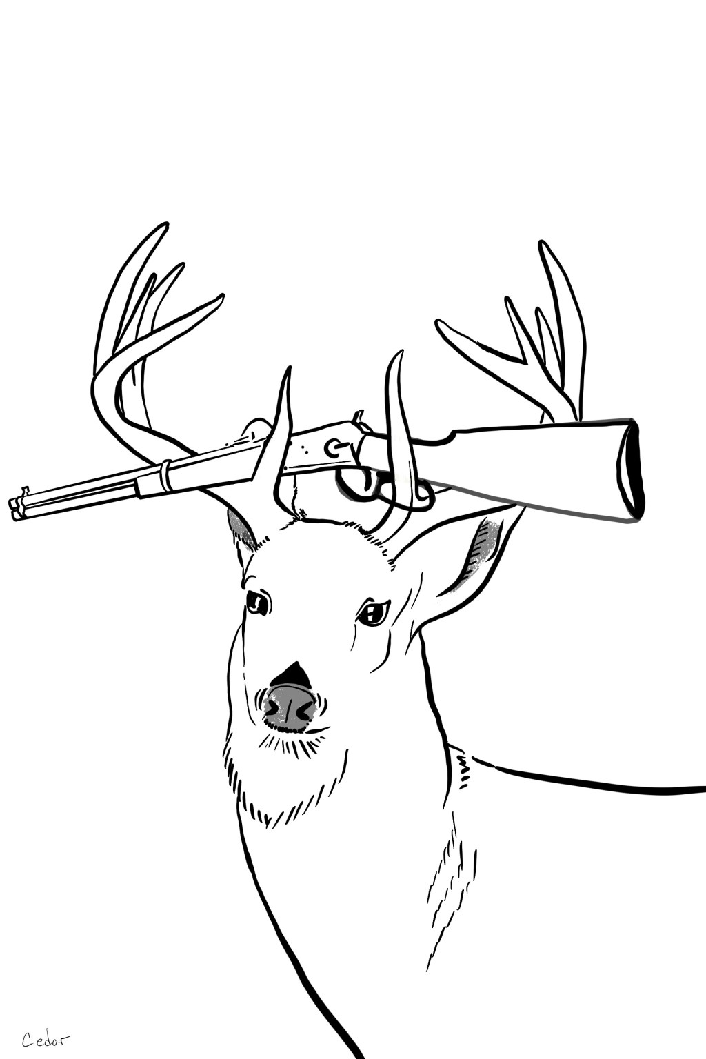 I did a&nbsp;thing(s)