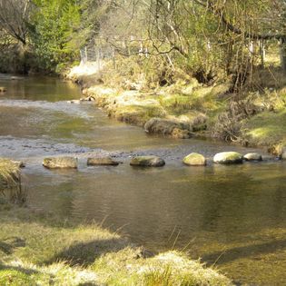 Seasonal Affective Disorder