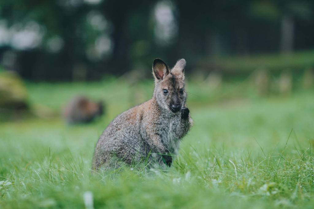 Through a glass,&nbsp;darkly