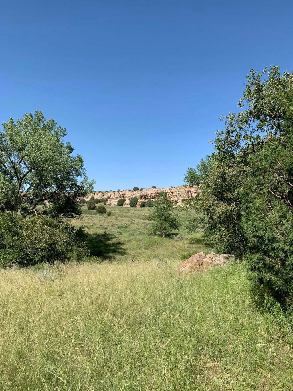 The Author on the&nbsp;Road