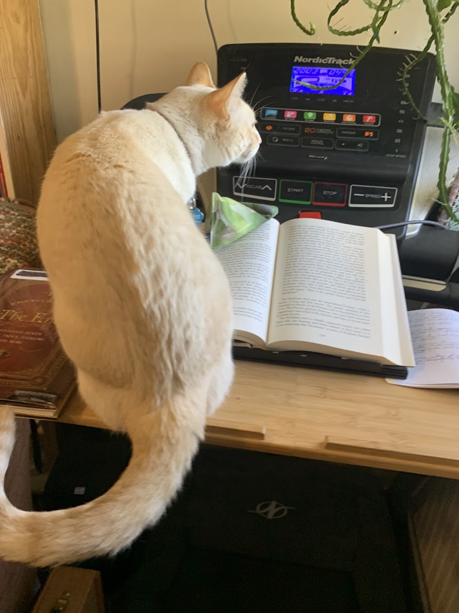 The Books in a&nbsp;Book